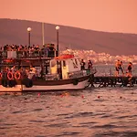 Summer Breeze 406 Sunny *