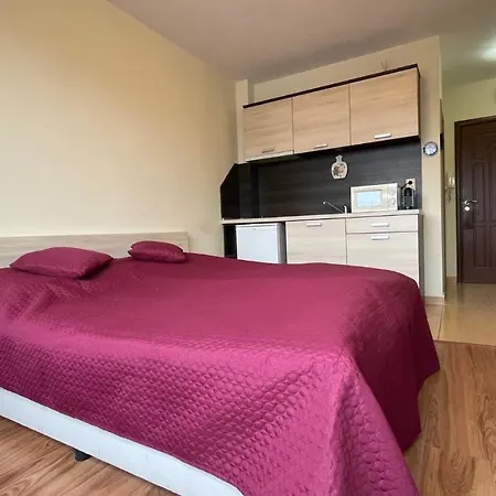 Summer Breeze 406 Sunny